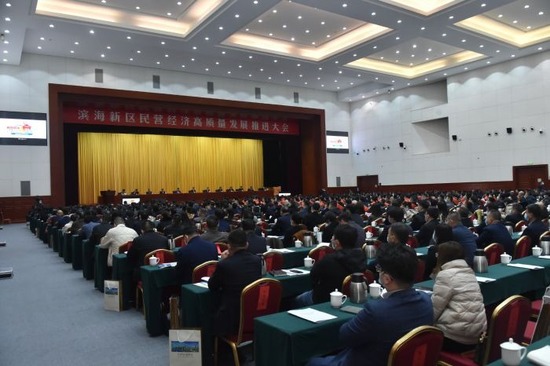 滨城民企百强销售近万亿 信息技术咨询服务如何领跑？